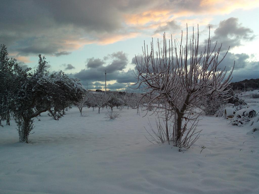 Dimora Antonianna In Valle D'Itria Locorotondo Bagian luar foto