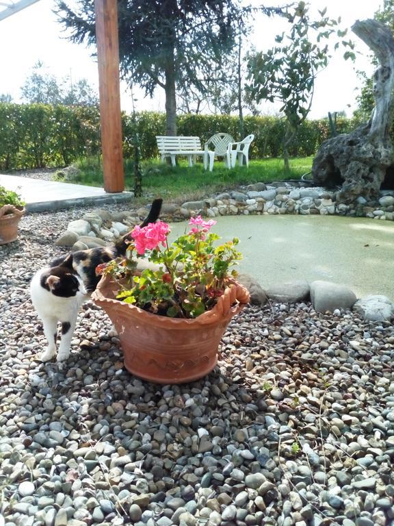 Dimora Antonianna In Valle D'Itria Locorotondo Bagian luar foto