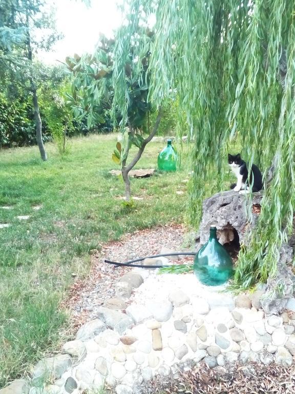Dimora Antonianna In Valle D'Itria Locorotondo Bagian luar foto
